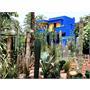 jardin-de-majorelle-le-jardin-botanique-le-plus-connu-de-marrakech