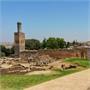 la-necropole-de-chellah-un-site-historique-a-rabat